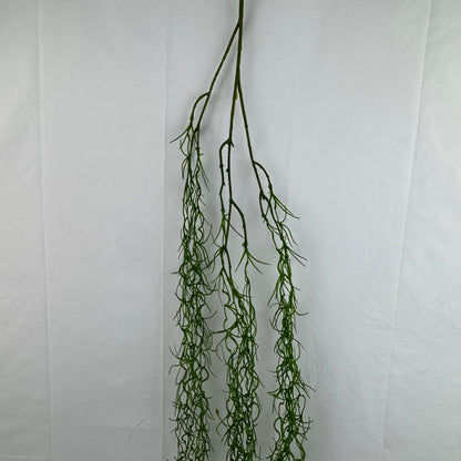 Green Seaweed