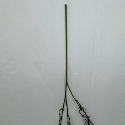 Green Hanging Seaweed Branch