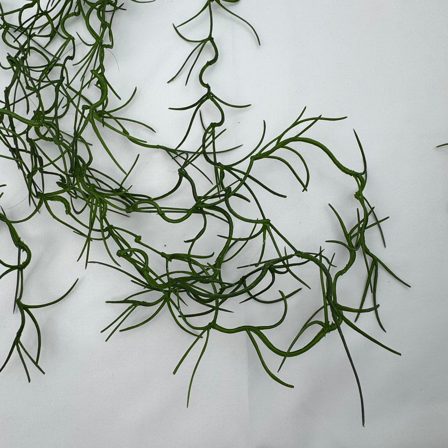 Green Hanging Seaweed Branch
