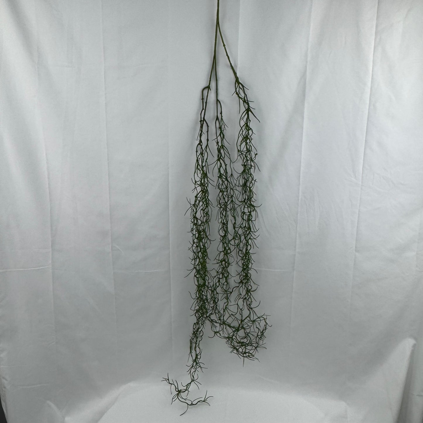 Green Hanging Seaweed Branch