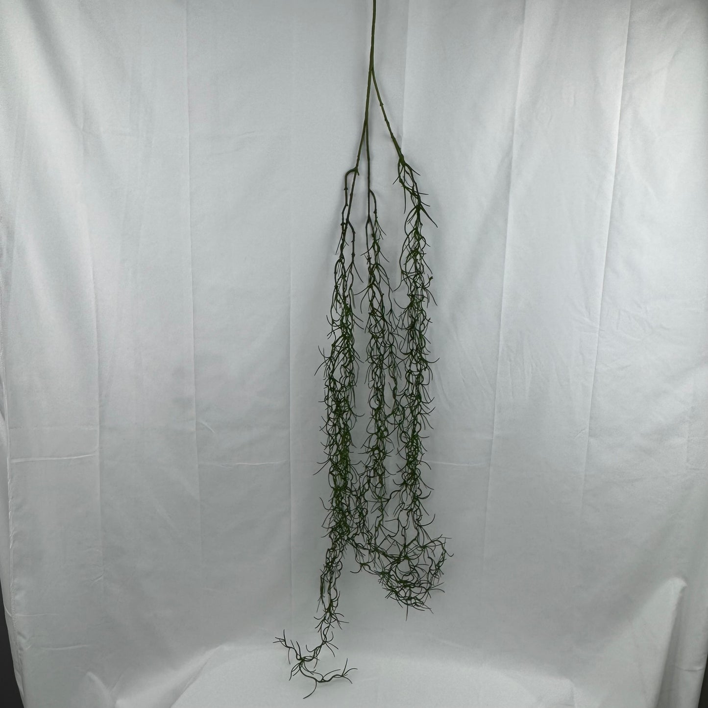 Green Hanging Seaweed Branch