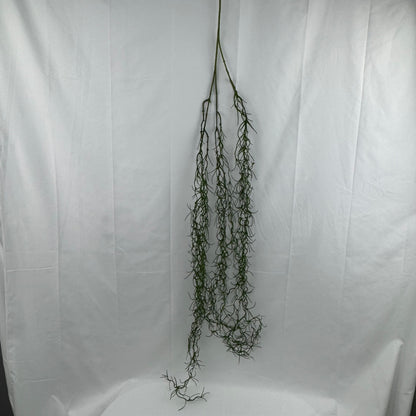 Green Hanging Seaweed Branch