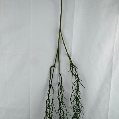 Green Hanging Seaweed Branch