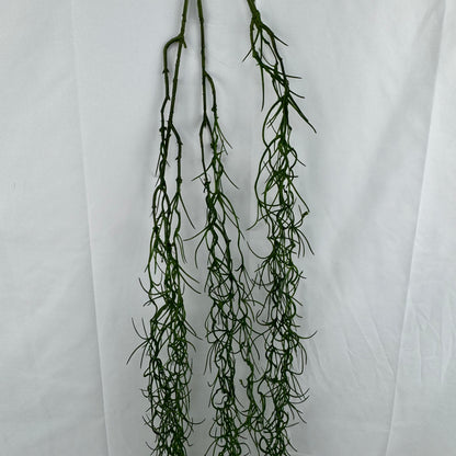 Green Hanging Seaweed Branch