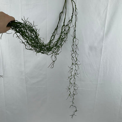 Green Hanging Seaweed Branch