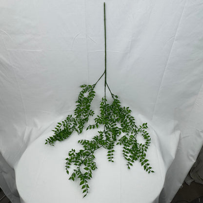Green Hanging Sandalwood Leaf