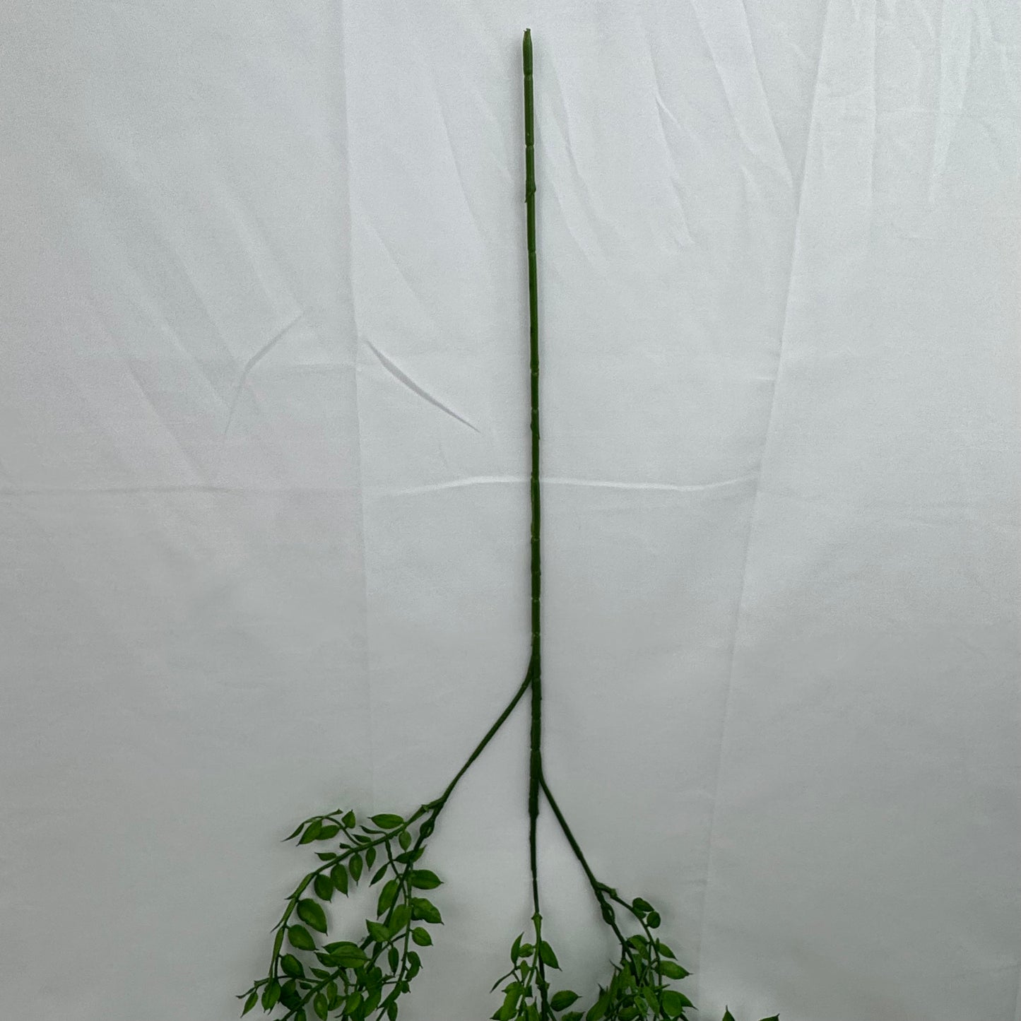 Green Hanging Sandalwood Leaf