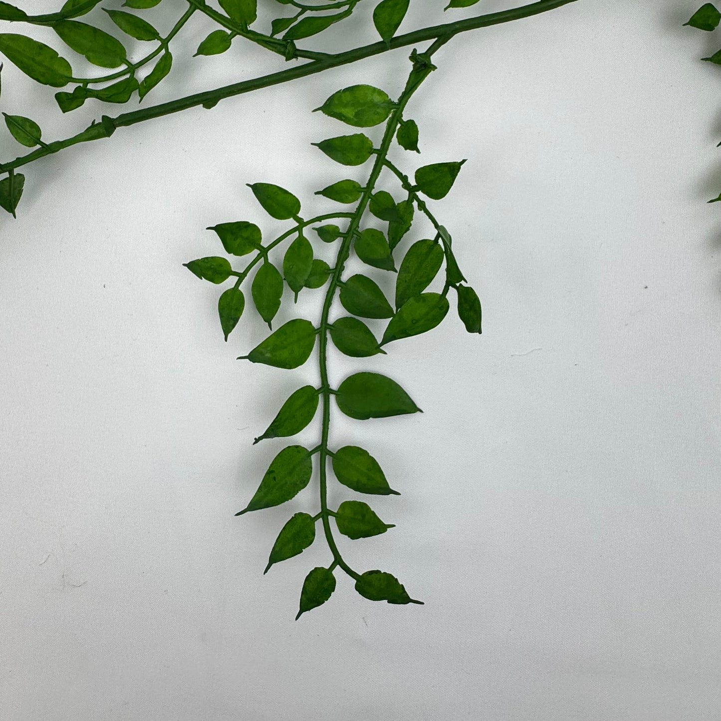 Green Hanging Sandalwood Leaf
