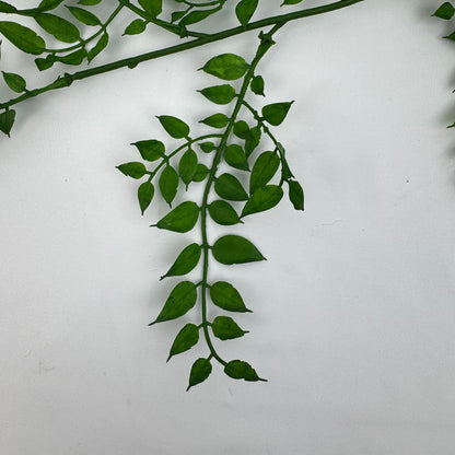 Green Hanging Sandalwood Leaf