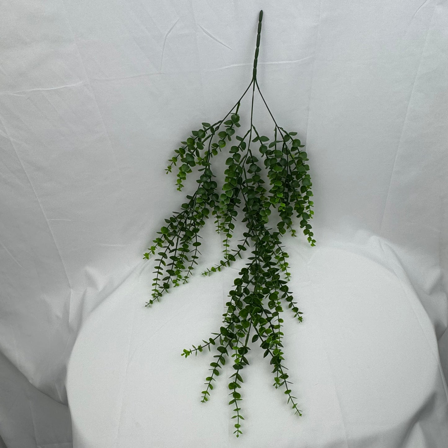 Green Hanging Eucalyptus