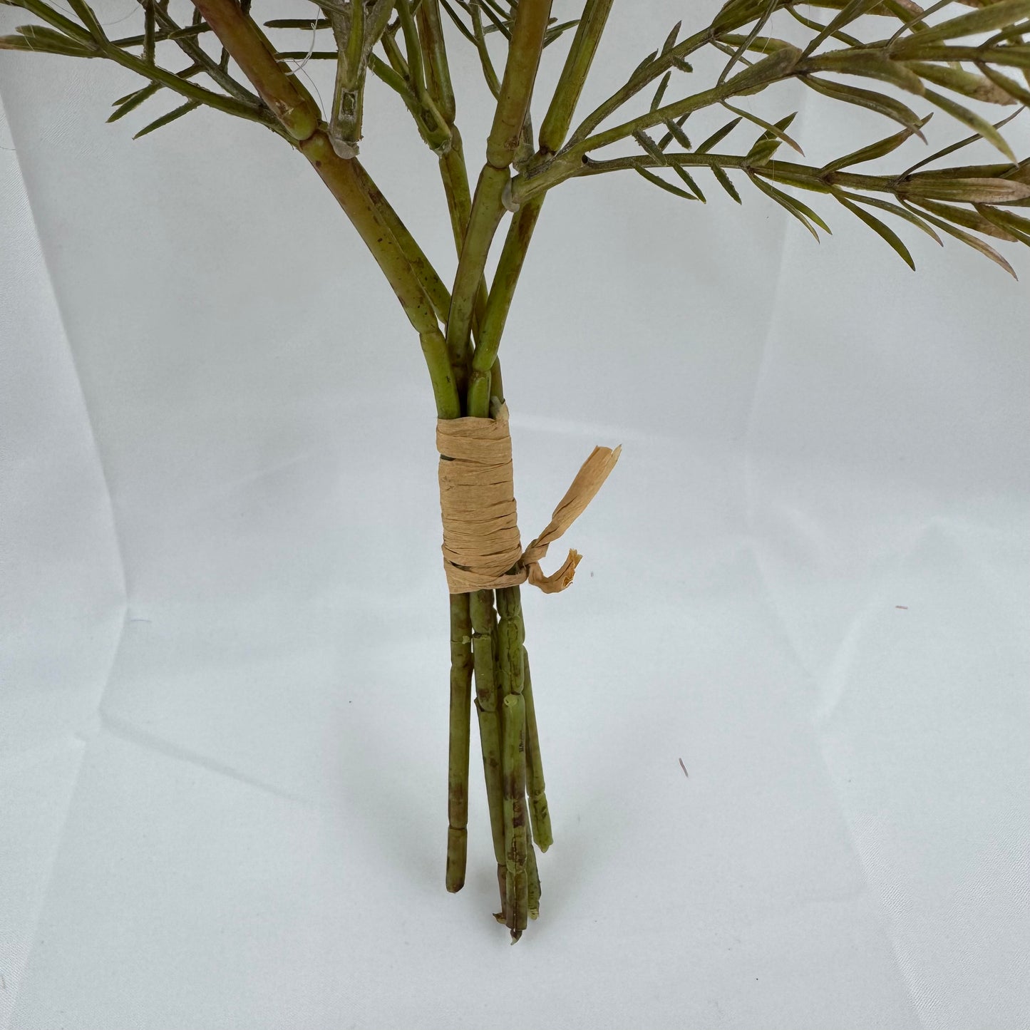 Orange Silk Burnt Edge Rose Bud Bush - 20 Heads