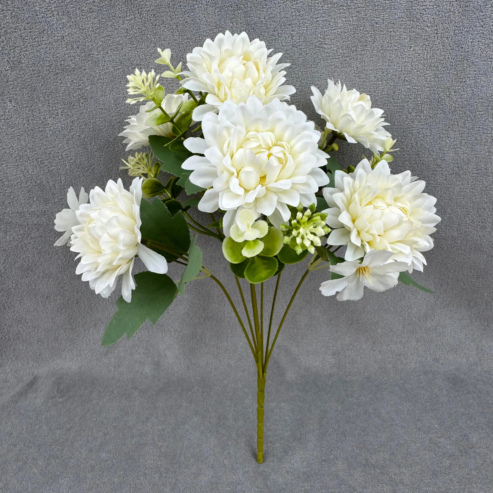 White Silk Dahlia Bush - 7 Heads RosesHQ.com