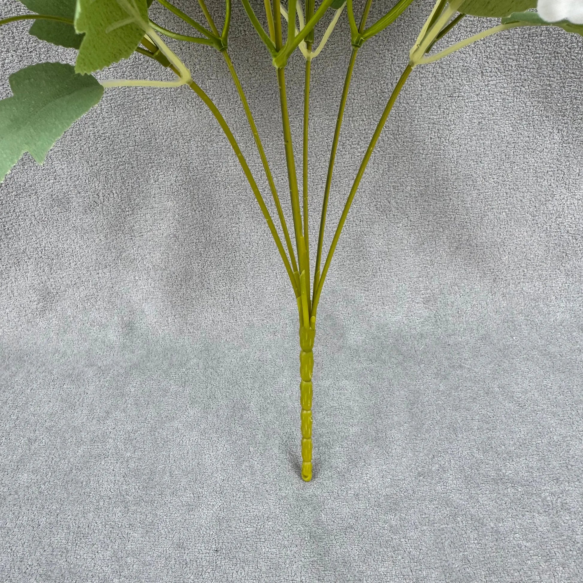 White Silk Dahlia Bush - 7 Heads RosesHQ.com