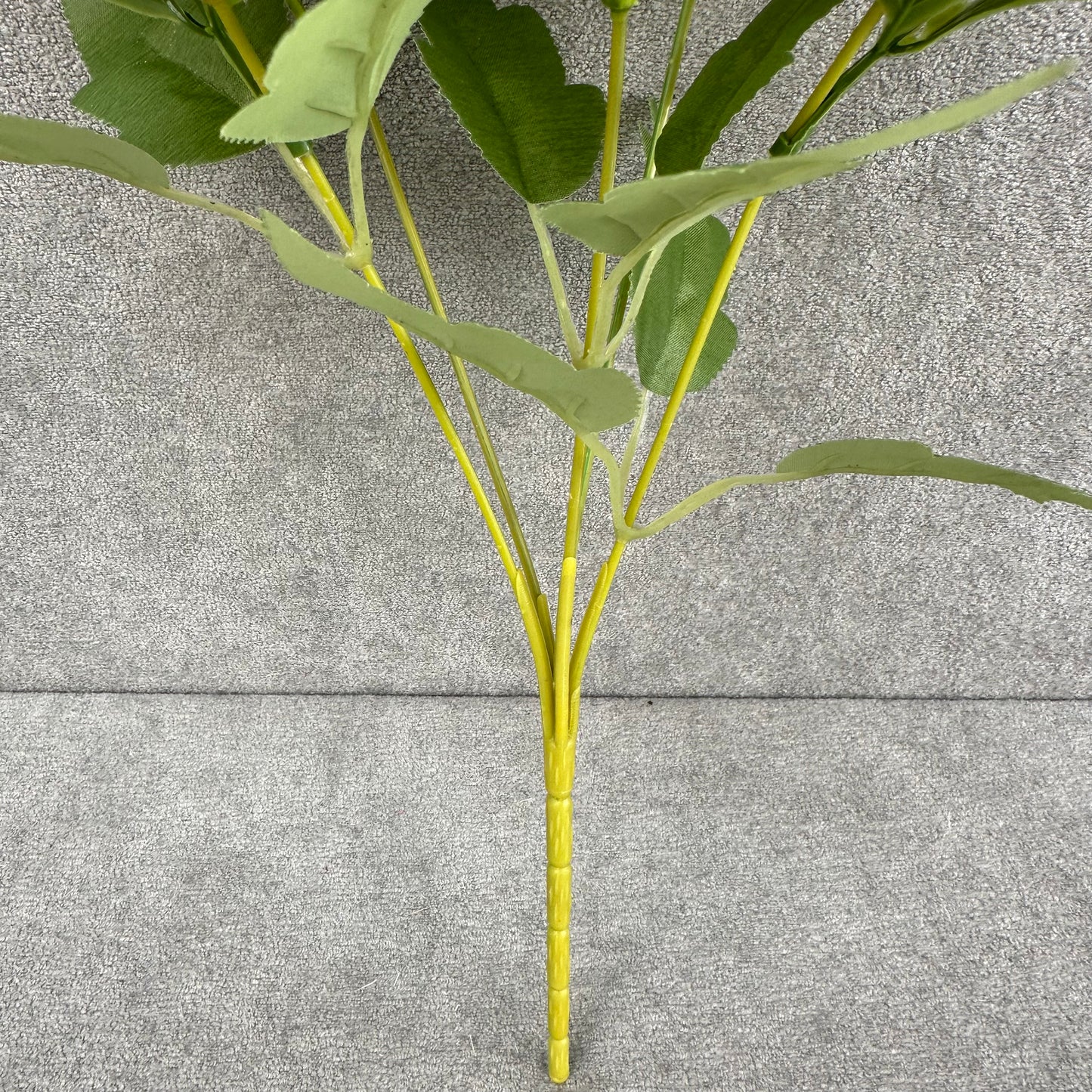 Lavender Silk Round Peony Bush - 5 Heads