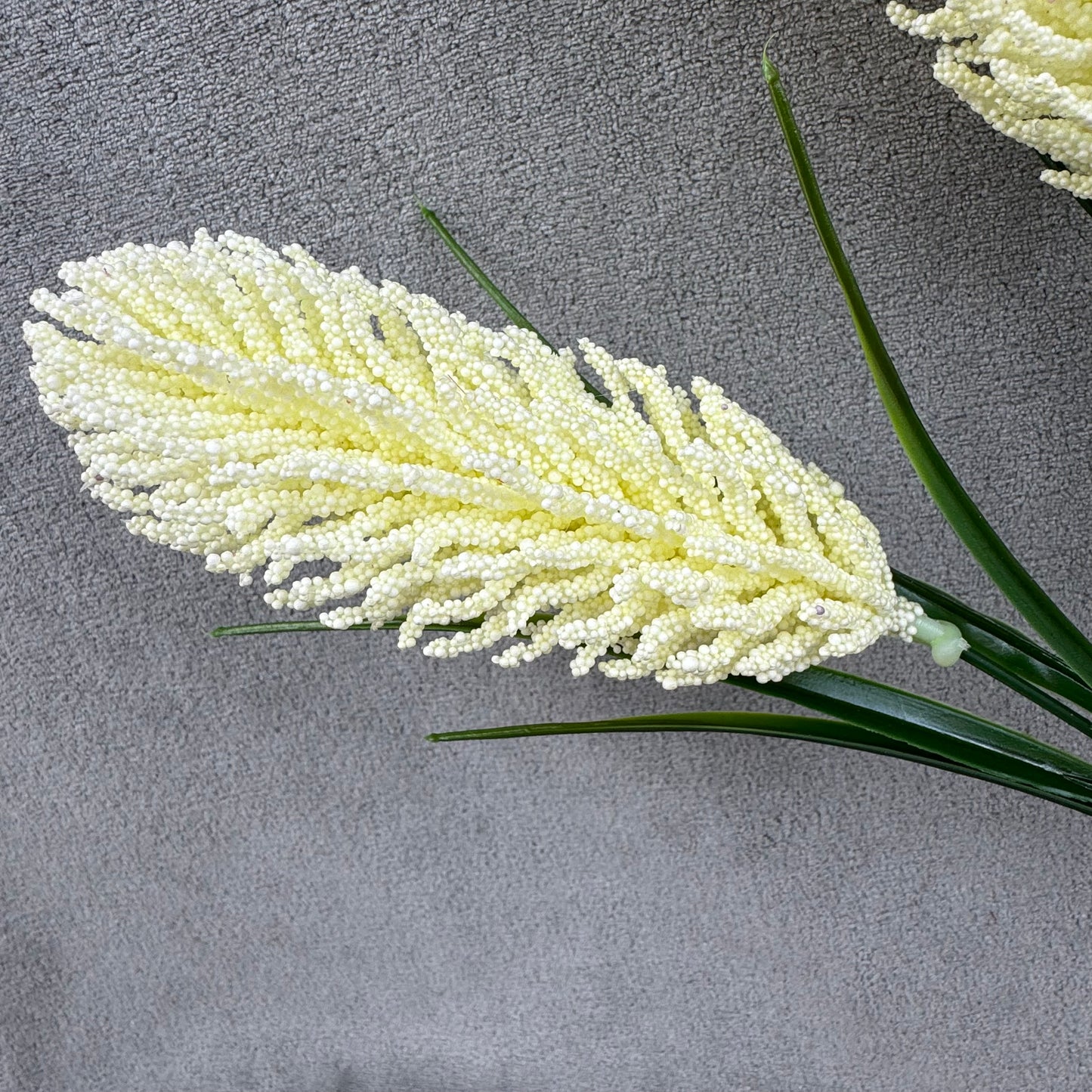 Ivory Corn Cob Bunch
