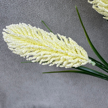 Ivory Corn Cob Bunch