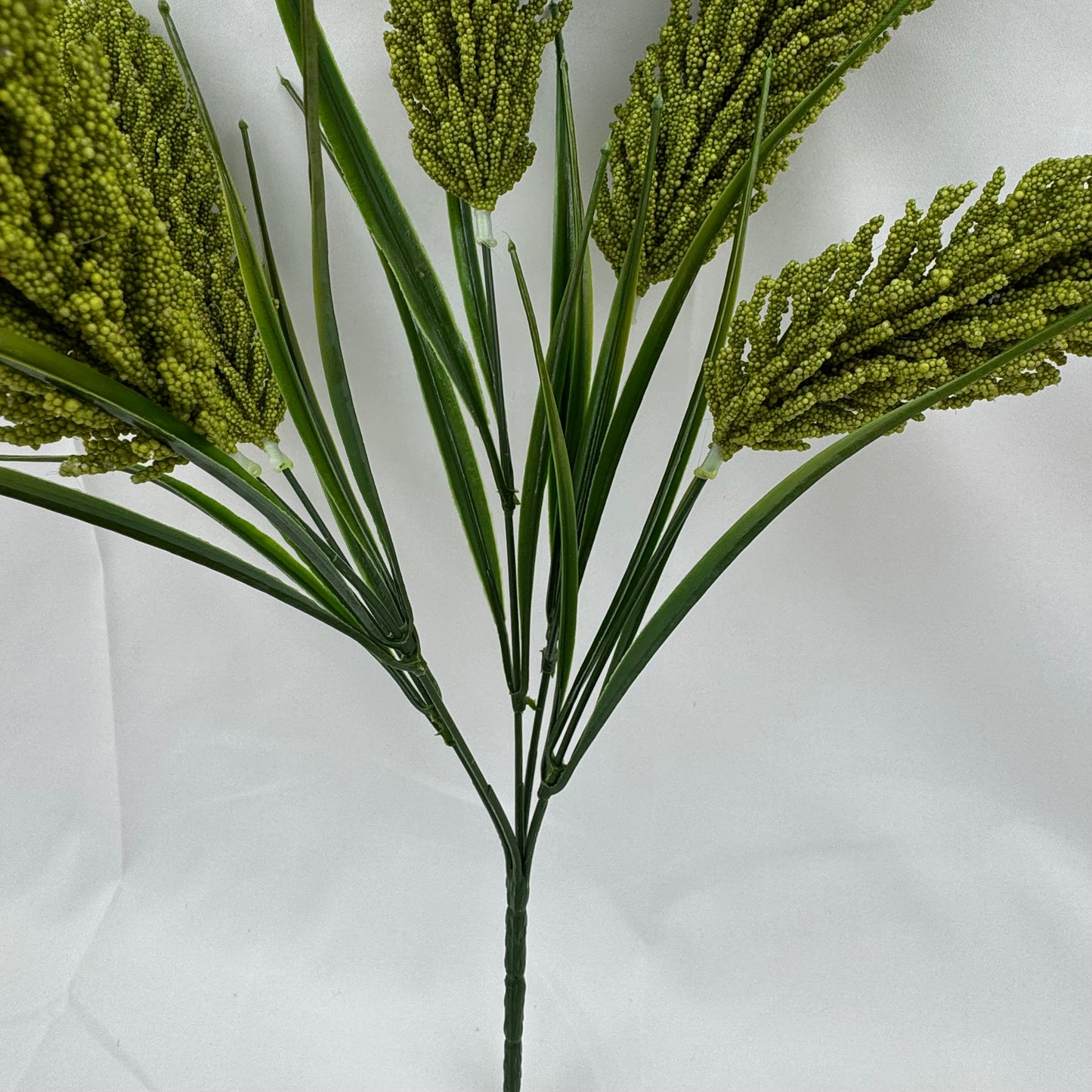 Green Corn Cob Bunch