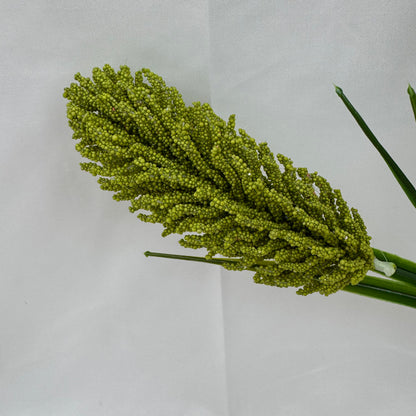 Green Corn Cob Bunch
