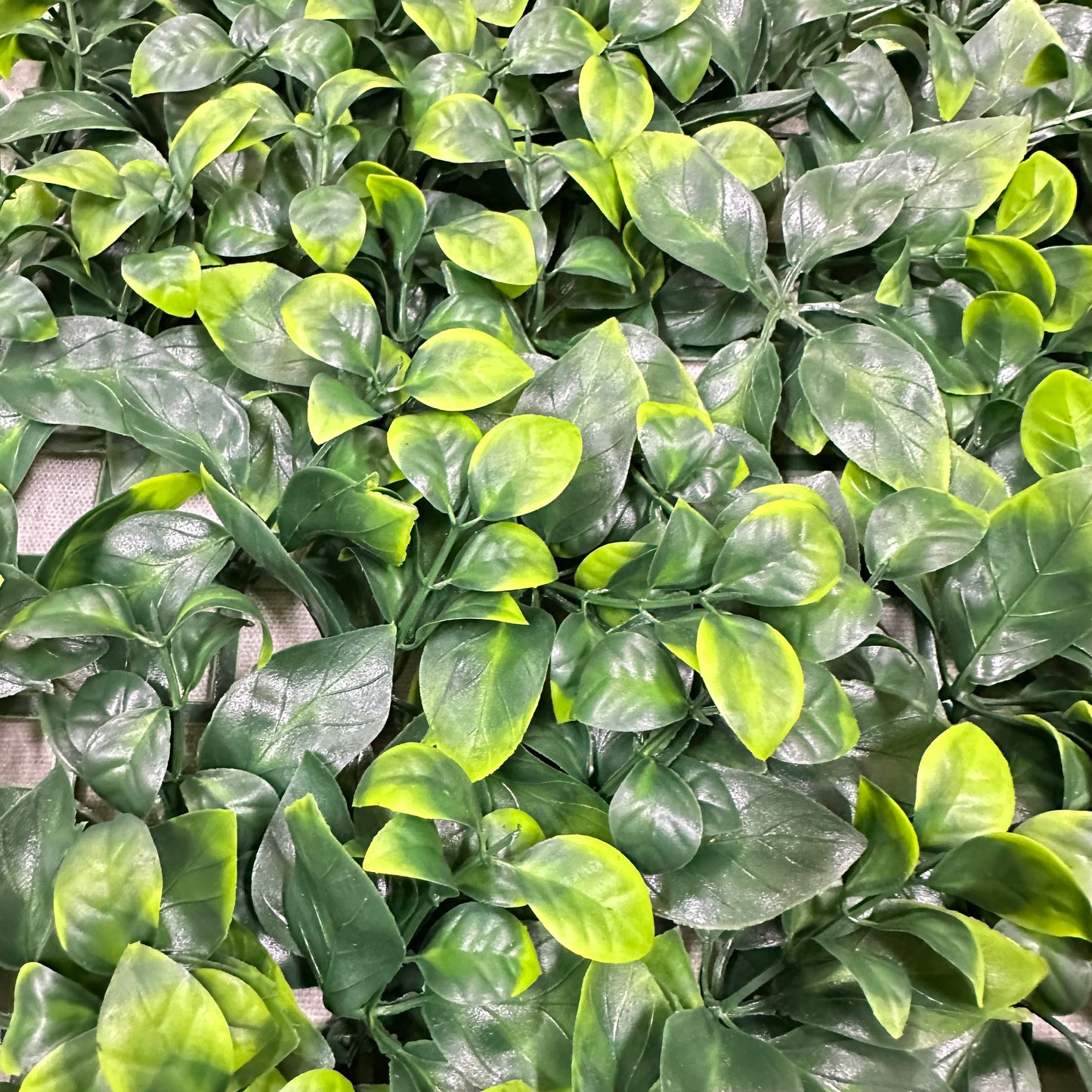 Artificial Apple Leaf Wall Panel Green 50x50cm