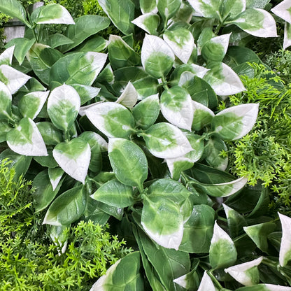 Artificial Plant Wall Green Panel No.1 100x100cm